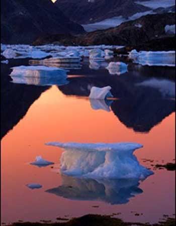 LiveImages_YeniFotoAnaliz_Gelece-8.jpg