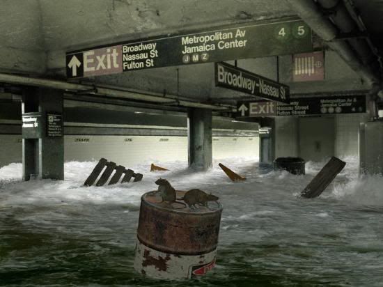 LiveImages_YeniFotoAnaliz_nsanla-1.jpg