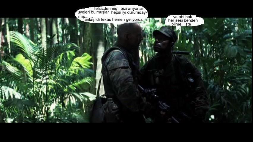 g10.jpg
