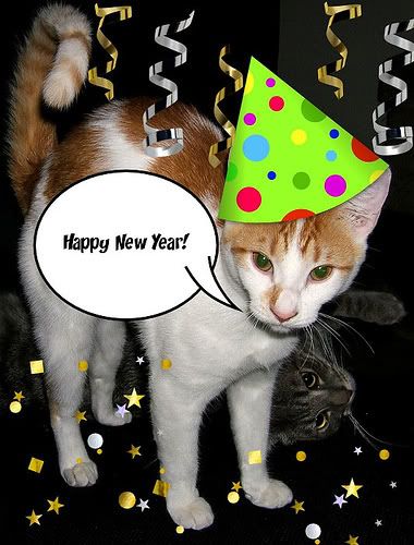 cat new year Pictures, Images and Photos