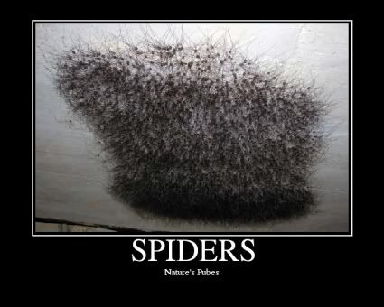 SPIDERS-1.jpg