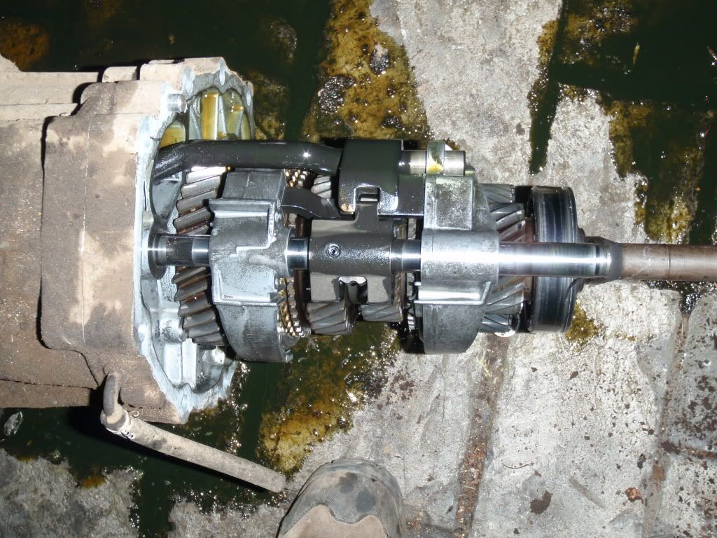 Posted Image