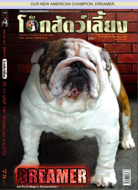 Bulldog: Hậu duệ của martin và yume