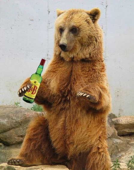 oso alcoholico 