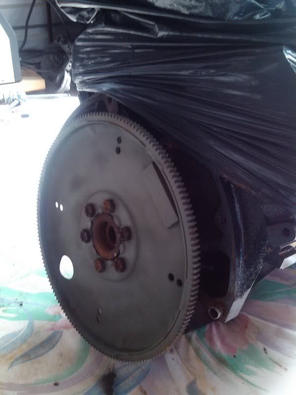 Correct Flexplate Direction