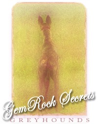 GemRock Curious George