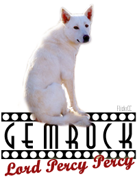 GemRock Lord Percy Percy