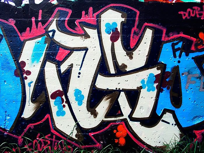Obrázok “http://i225.photobucket.com/albums/dd43/batranutragator/grafitti_untitled_b.jpg” sa nedá zobraziť, pretože obsahuje chyby.
