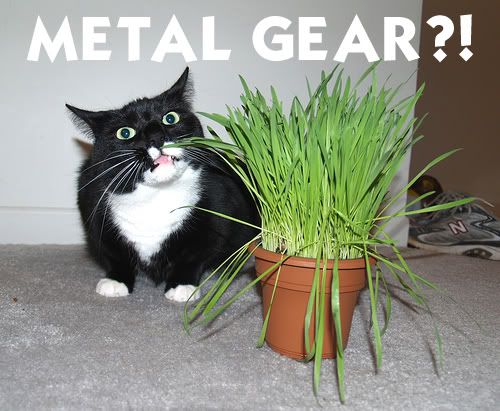 http://i225.photobucket.com/albums/dd49/mad_mouth/Metal_Gear_Cat.jpg