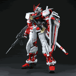 Gundam Seed Destiny, Gundam Seed Astray Red Frame