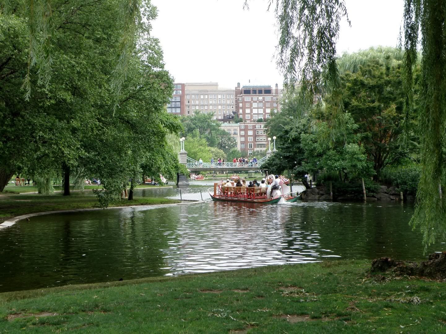 Swan Boats in the Public Gardens
