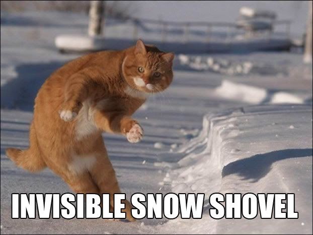 snowshovel.jpg