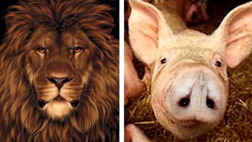 Ilusão de ótica: Quais animais você está vendo?