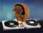 The_Cat_DJ.gif