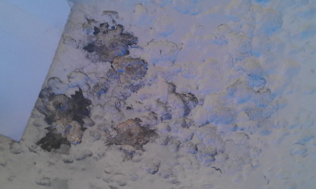 IMAG0179.jpg
