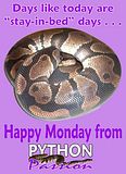 MondayComment.jpg Monday image by PythonPassion