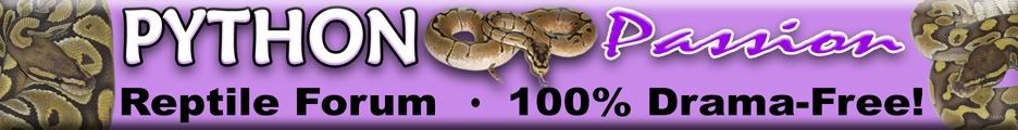 Python Passion Reptile Forums