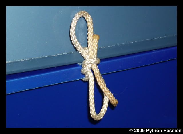 TieinaBow.jpg