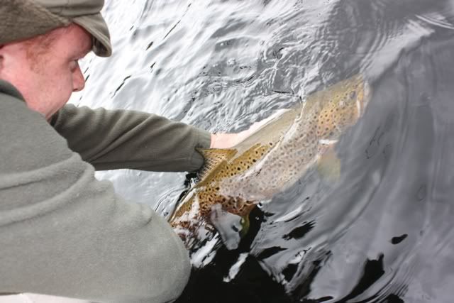 Fishing, Scotland, Ferox, Trout