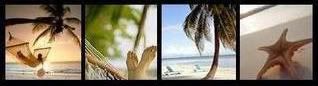beach Pictures, Images and Photos