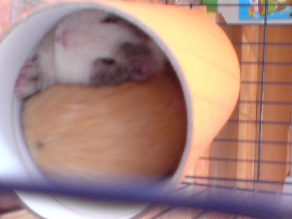 DSC00051.jpg