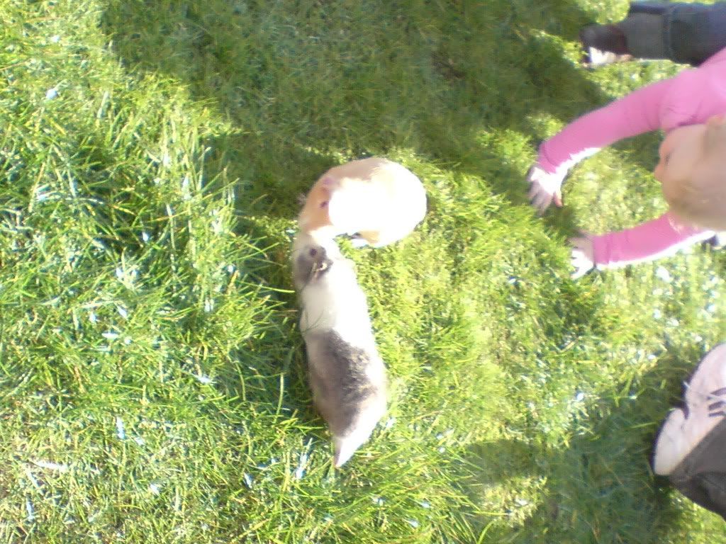 DSC00108.jpg