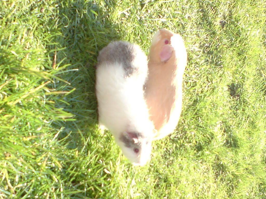 DSC00109.jpg