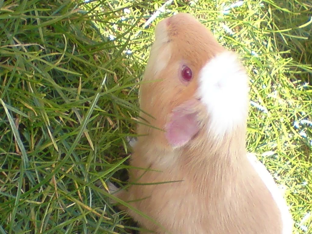 DSC00117.jpg