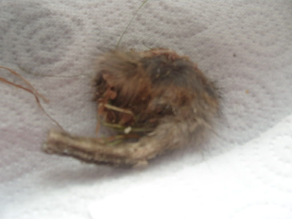S1050628.jpg