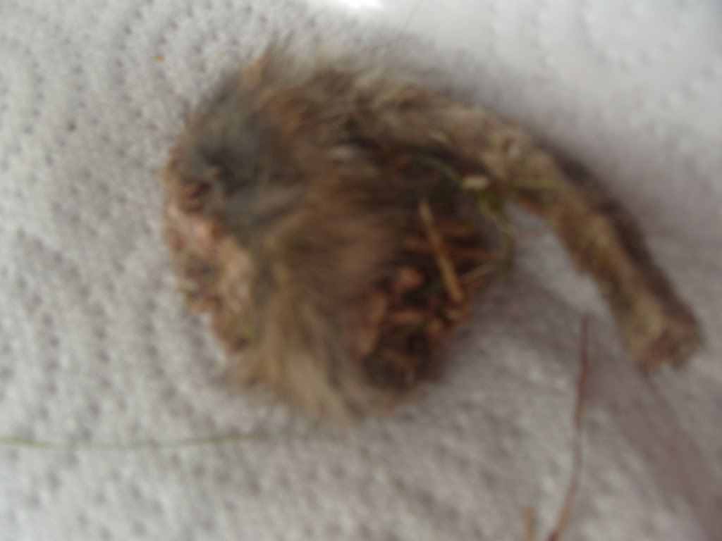 S1050629.jpg