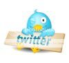  photo twitter-logo-birdsmall.jpg