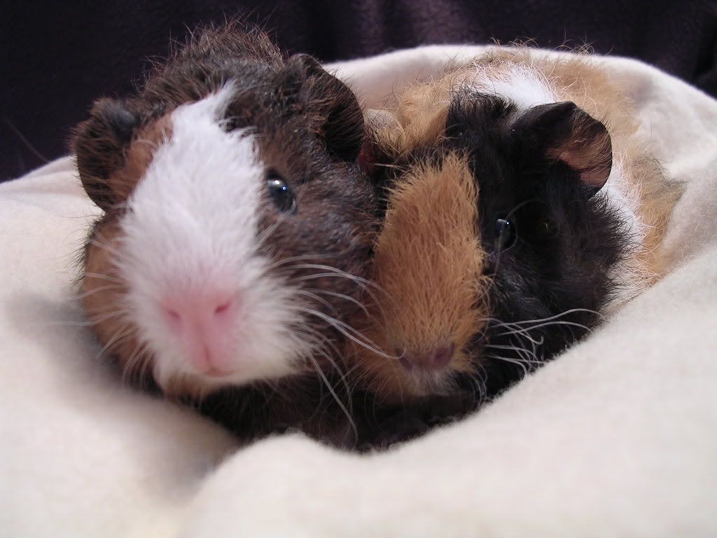 DSCN5128.jpg
