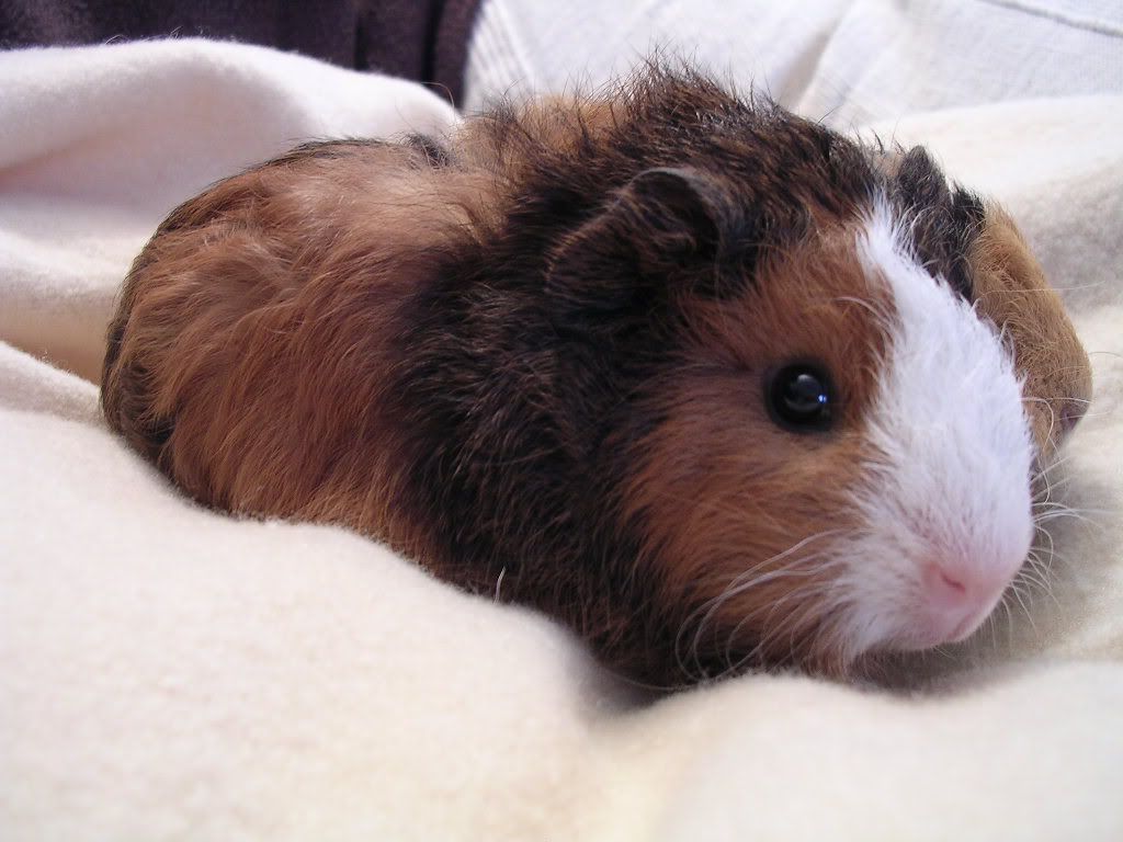 DSCN5129.jpg