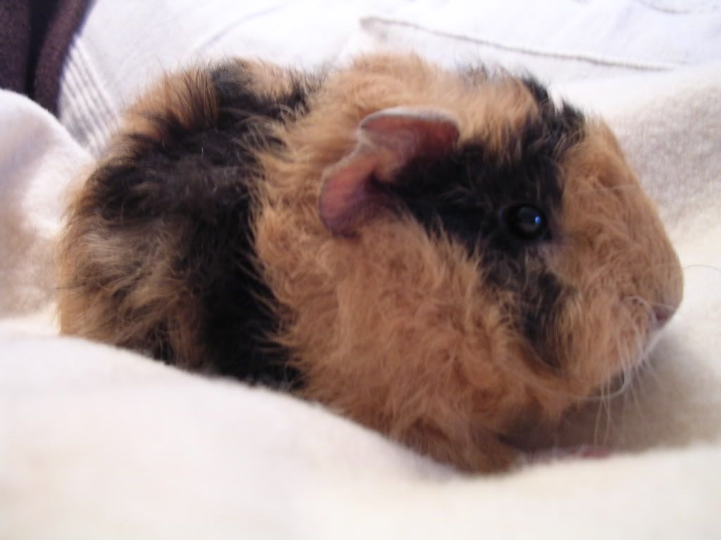 DSCN5131.jpg