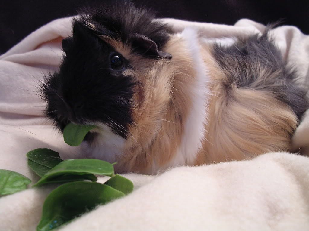 DSCN5166.jpg