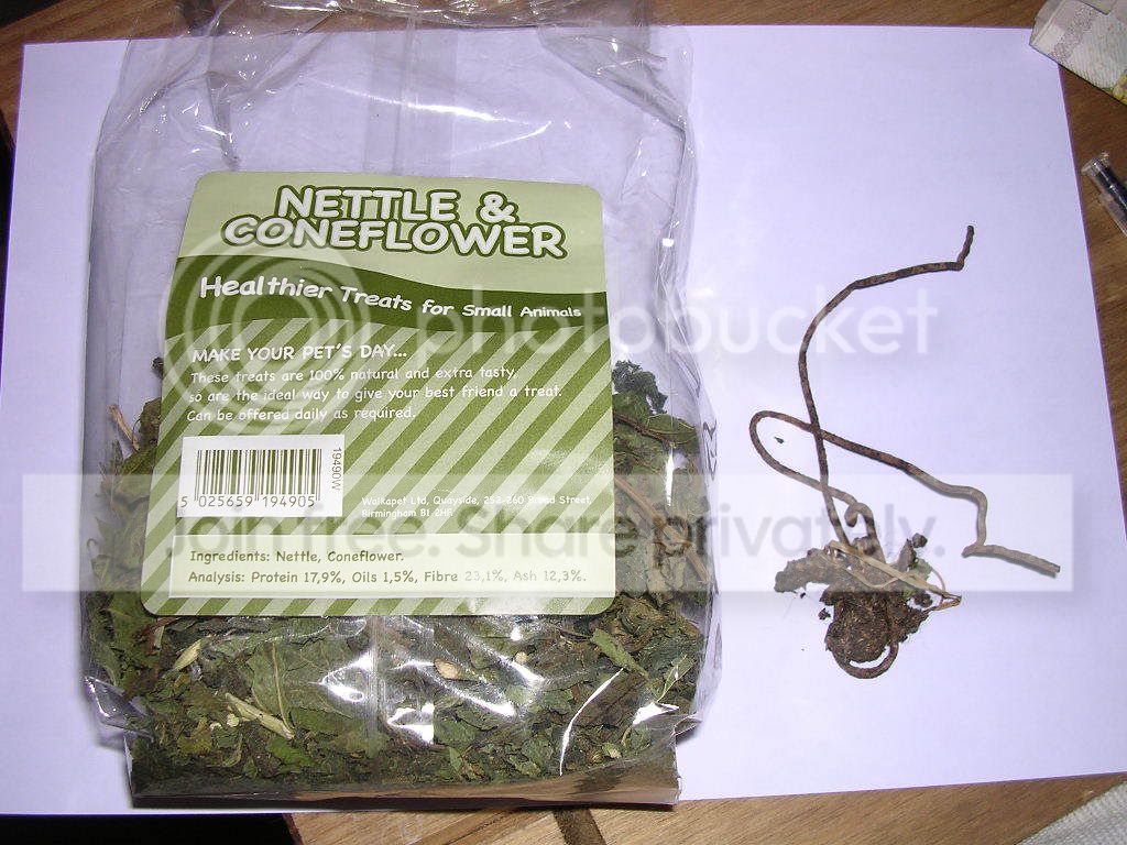 DSCN5197.jpg