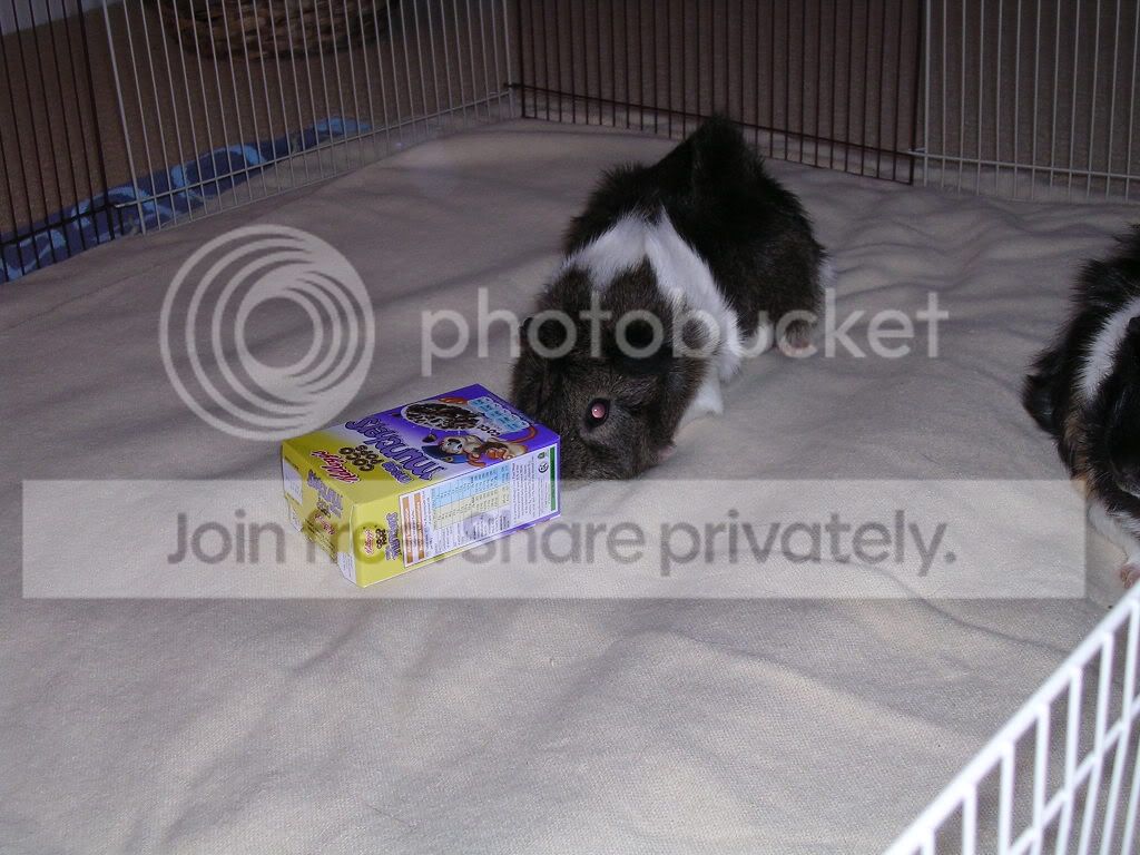 DSCN5200.jpg