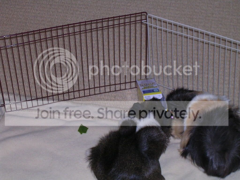 DSCN5211.jpg