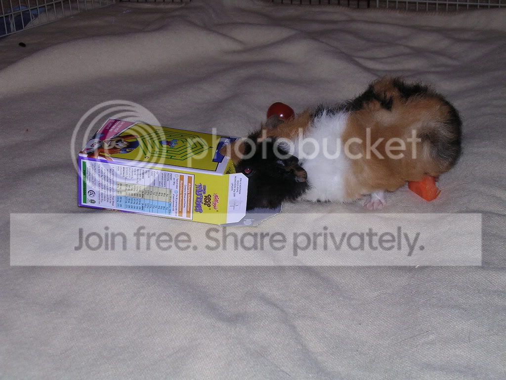 DSCN5217.jpg