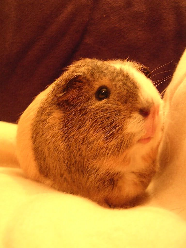 DSCN5331.jpg
