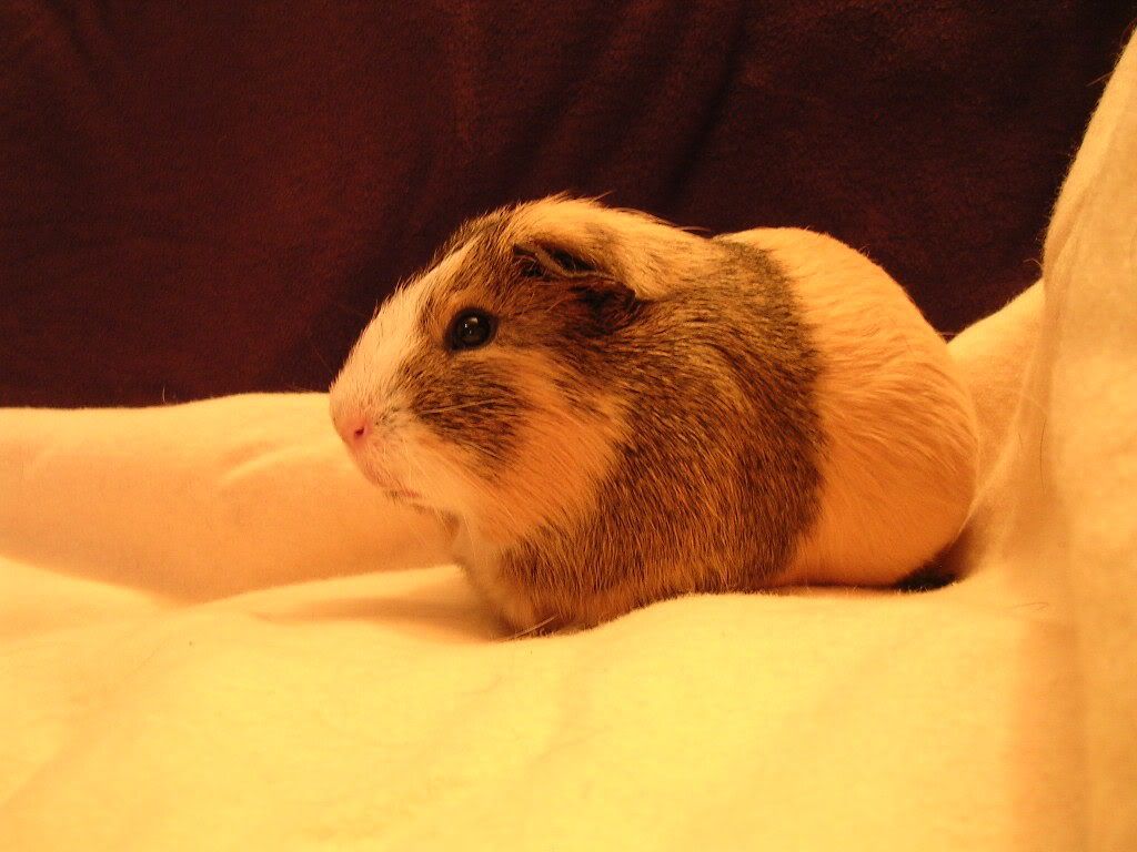 DSCN5336.jpg
