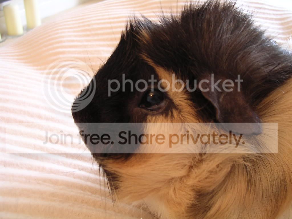 DSCN5545.jpg