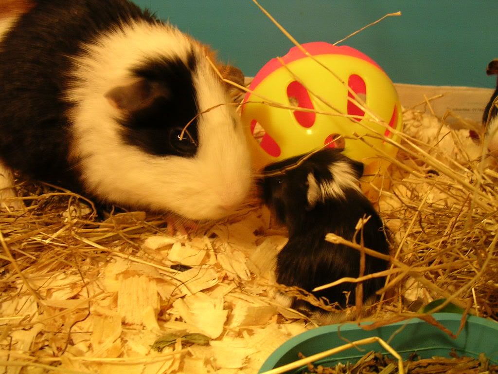 DSCN5594.jpg