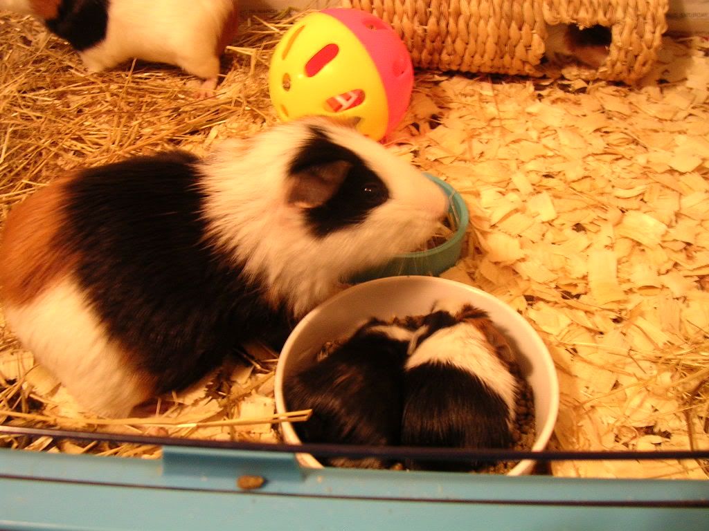 DSCN5609.jpg