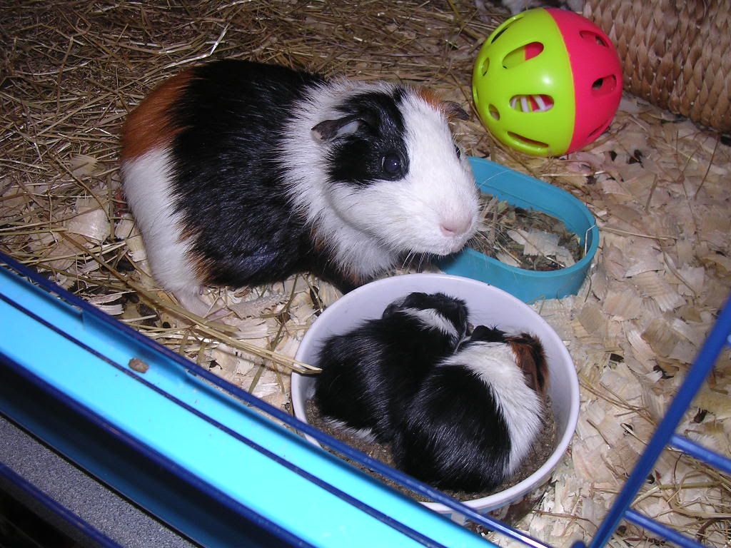 DSCN5613.jpg