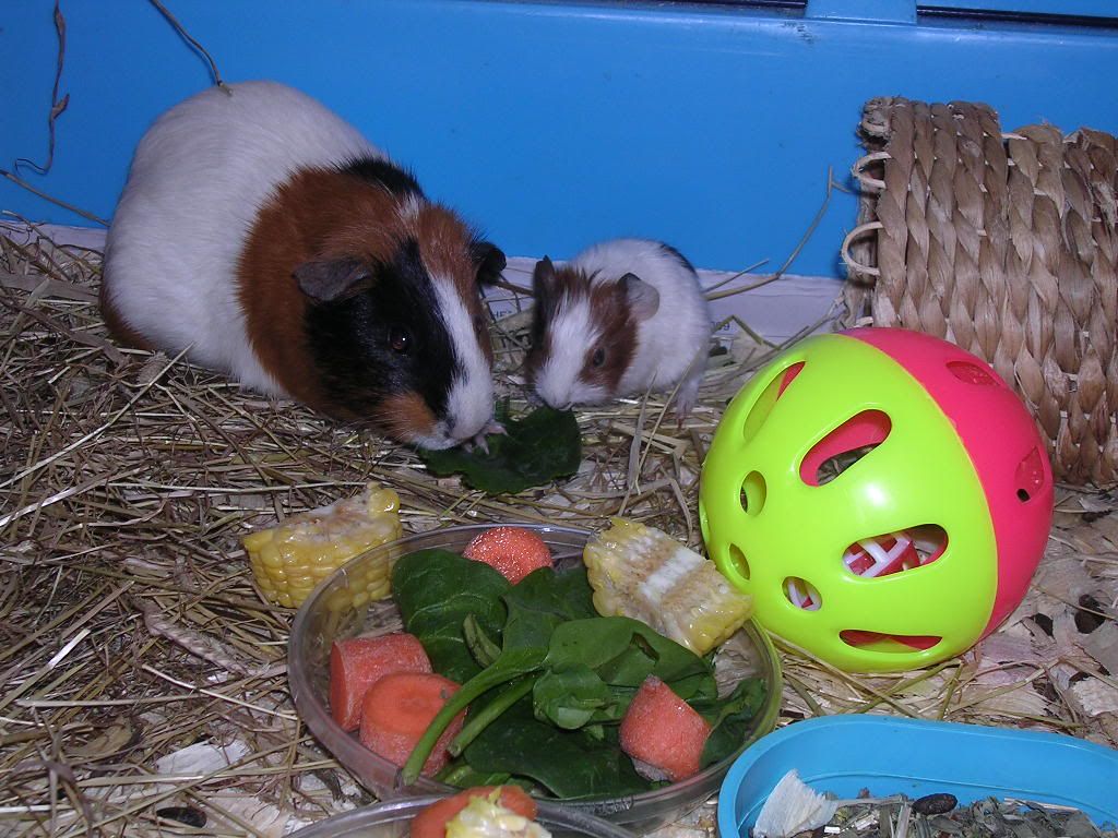 DSCN5617.jpg