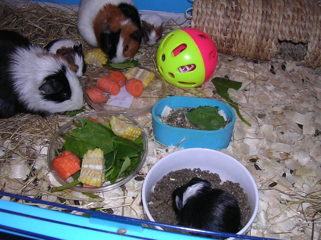 DSCN5632.jpg