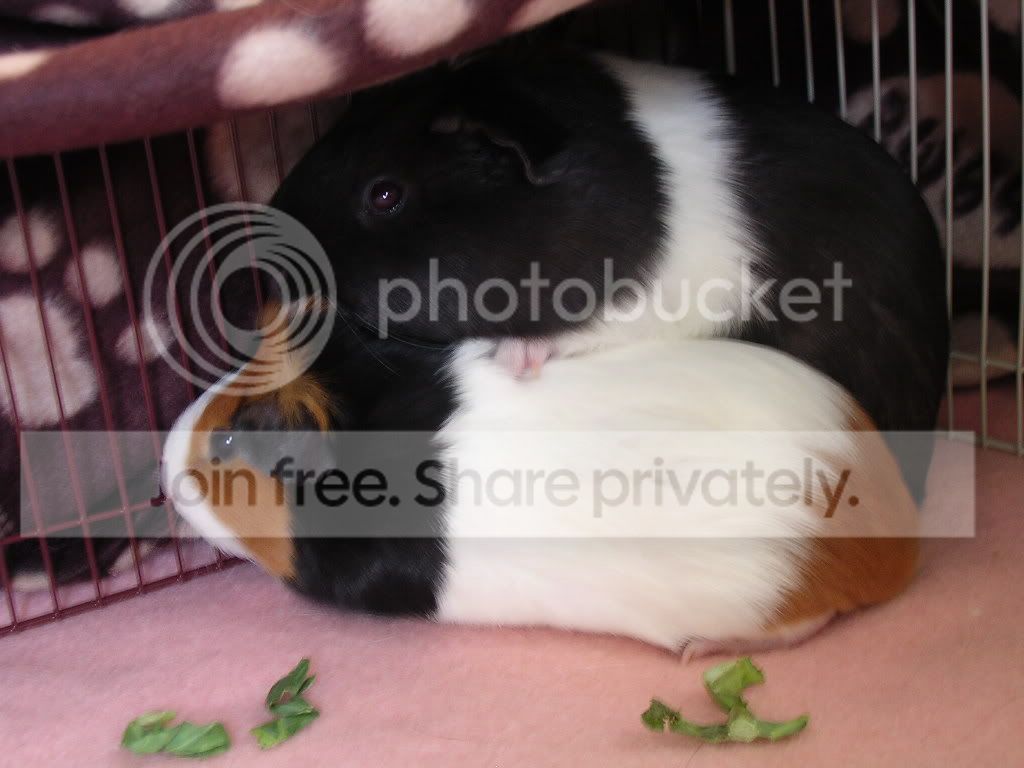 DSCN5639.jpg