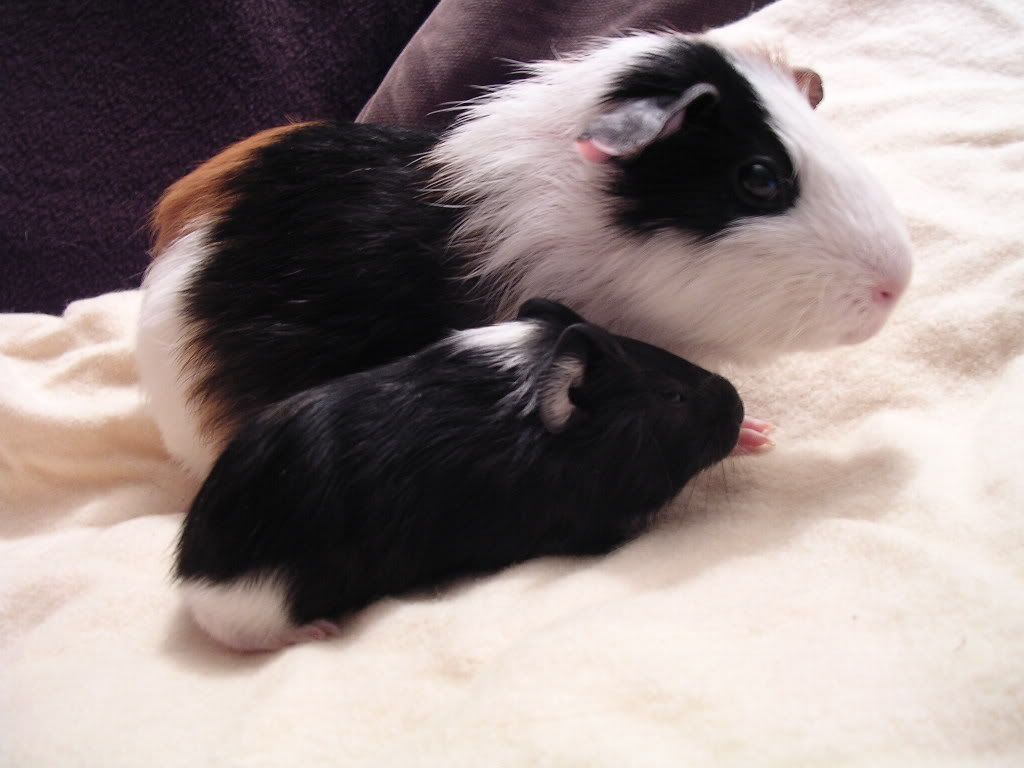 DSCN5670.jpg