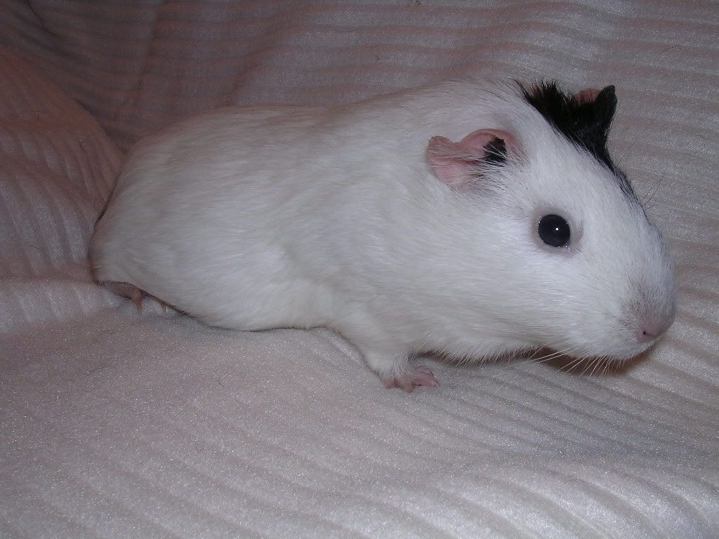 DSCN5678.jpg